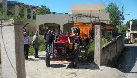 QIP - Baladi Egg Project